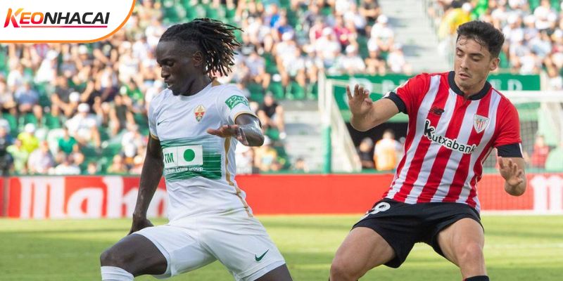 Lịch sử ủng hộ chủ nhà