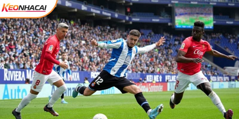 Mallorca vs Espanyol không hề dễ dàng cho vị khách