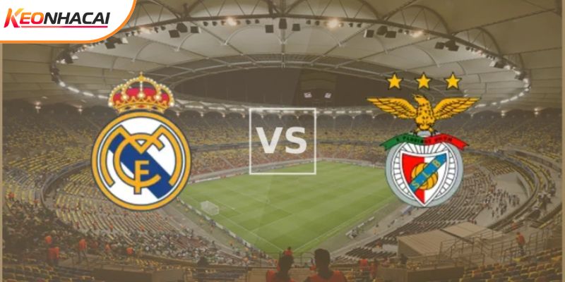 Soi Kèo Real Madrid Vs Benfica 03h00 Ngày 26/02 - Cúp C1
